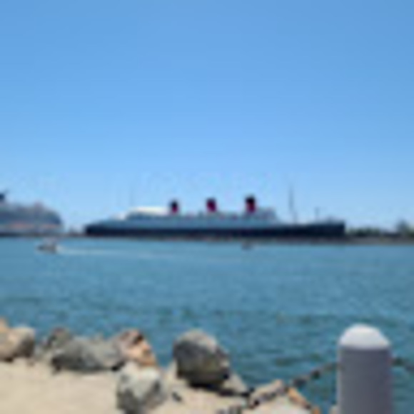 Meet your Posher, Vanessa - Picture 1 of 1